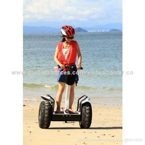 2014 brand new 2 wheel stand up electric scooter